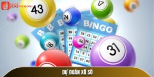 ảnh đại diện dự đoán xổ số